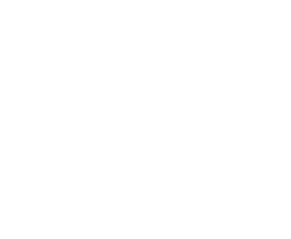 American AI eagle emblem
